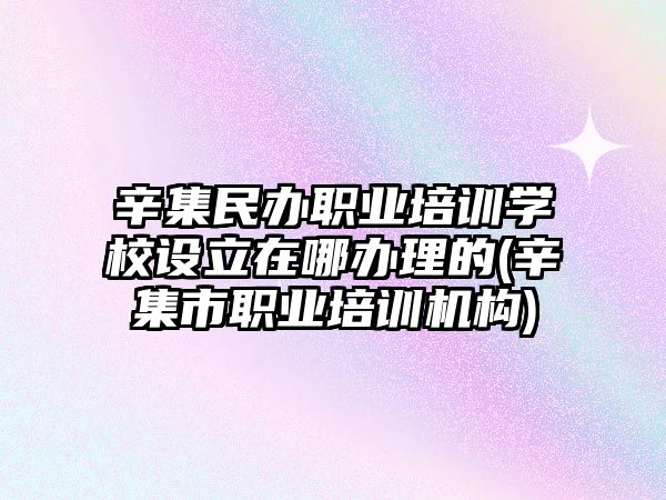 辛集民辦職業培訓學校設立在哪辦理的(辛集市職業培訓機構)