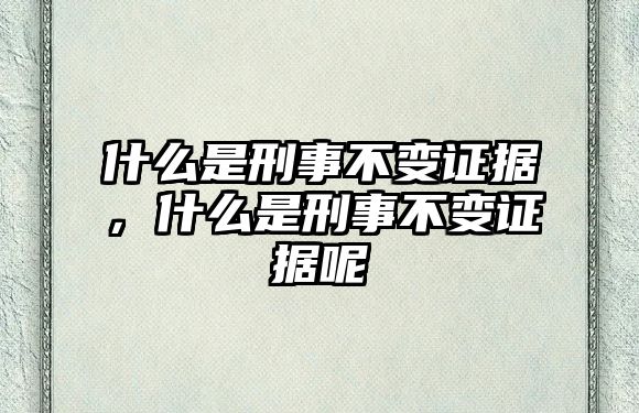 什么是刑事不變證據，什么是刑事不變證據呢