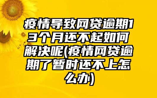 疫情導(dǎo)致網(wǎng)貸逾期13個月還不起如何解決呢(疫情網(wǎng)貸逾期了暫時還不上怎么辦)