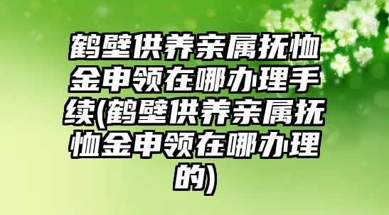 鶴壁供養(yǎng)親屬撫恤金申領(lǐng)在哪辦理手續(xù)(鶴壁供養(yǎng)親屬撫恤金申領(lǐng)在哪辦理的)