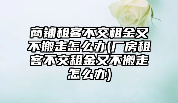 商鋪租客不交租金又不搬走怎么辦(廠房租客不交租金又不搬走怎么辦)