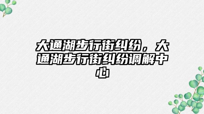 大通湖步行街糾紛，大通湖步行街糾紛調(diào)解中心