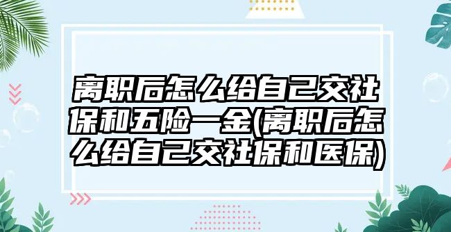 離職后怎么給自己交社保和五險一金(離職后怎么給自己交社保和醫保)