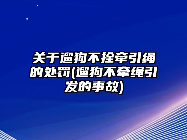 關于遛狗不拴牽引繩的處罰(遛狗不牽繩引發的事故)