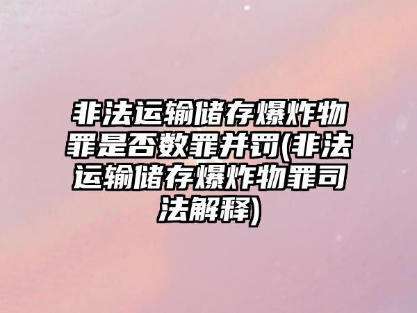 非法運輸儲存爆炸物罪是否數罪并罰(非法運輸儲存爆炸物罪司法解釋)