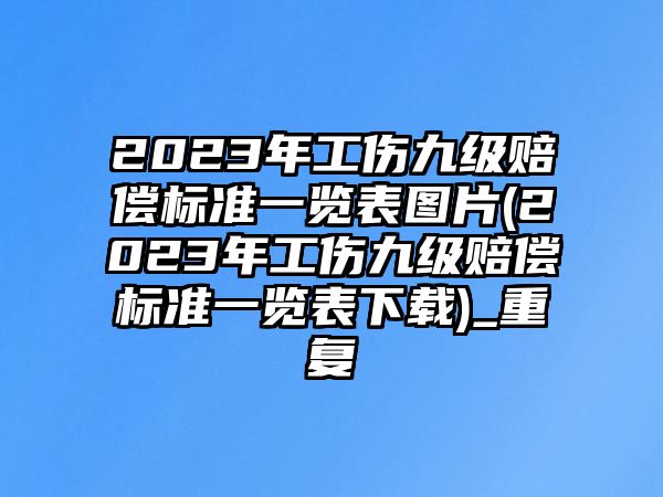 2023年工傷九級(jí)賠償標(biāo)準(zhǔn)一覽表圖片(2023年工傷九級(jí)賠償標(biāo)準(zhǔn)一覽表下載)_重復(fù)