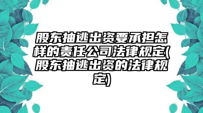 股東抽逃出資要承擔(dān)怎樣的責(zé)任公司法律規(guī)定(股東抽逃出資的法律規(guī)定)