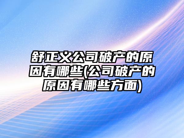 舒正義公司破產的原因有哪些(公司破產的原因有哪些方面)