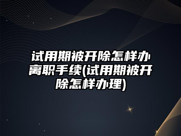 試用期被開除怎樣辦離職手續(試用期被開除怎樣辦理)