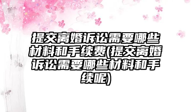 提交離婚訴訟需要哪些材料和手續費(提交離婚訴訟需要哪些材料和手續呢)