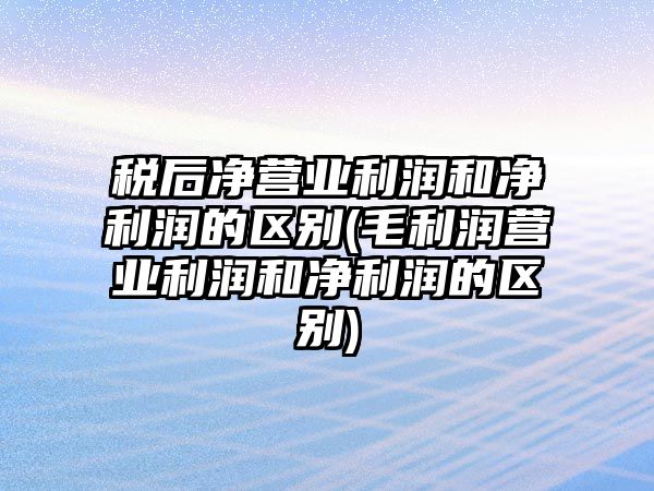 稅后凈營業利潤和凈利潤的區別(毛利潤營業利潤和凈利潤的區別)