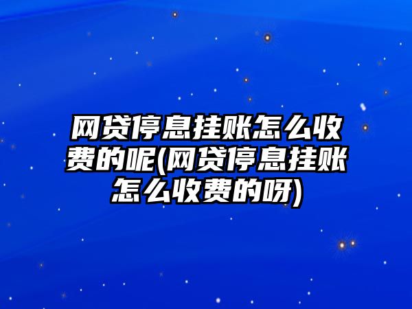 網貸停息掛賬怎么收費的呢(網貸停息掛賬怎么收費的呀)