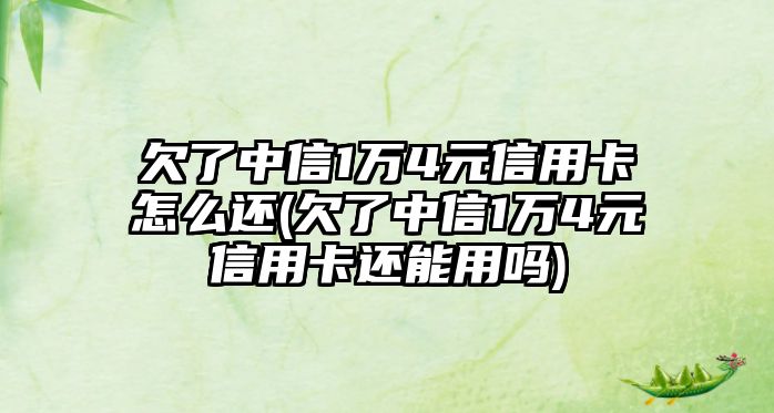 欠了中信1萬4元信用卡怎么還(欠了中信1萬4元信用卡還能用嗎)