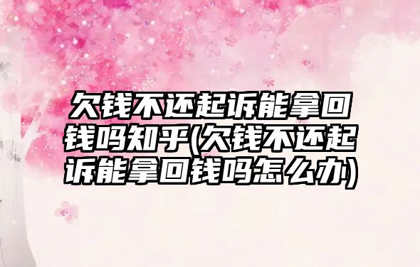 欠錢不還起訴能拿回錢嗎知乎(欠錢不還起訴能拿回錢嗎怎么辦)