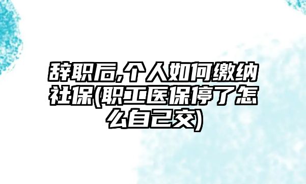 辭職后,個人如何繳納社保(職工醫保停了怎么自己交)