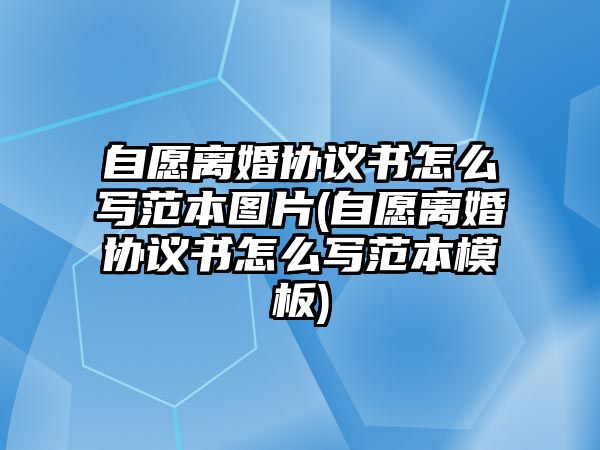 自愿離婚協(xié)議書怎么寫范本圖片(自愿離婚協(xié)議書怎么寫范本模板)