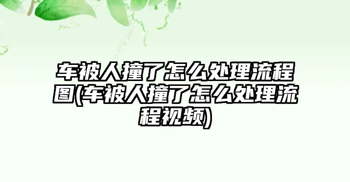 車被人撞了怎么處理流程圖(車被人撞了怎么處理流程視頻)