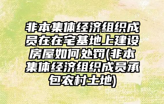 非本集體經(jīng)濟組織成員在在宅基地上建設房屋如何處罰(非本集體經(jīng)濟組織成員承包農(nóng)村土地)