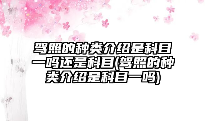 駕照的種類(lèi)介紹是科目一嗎還是科目(駕照的種類(lèi)介紹是科目一嗎)