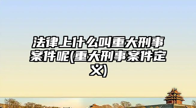 法律上什么叫重大刑事案件呢(重大刑事案件定義)