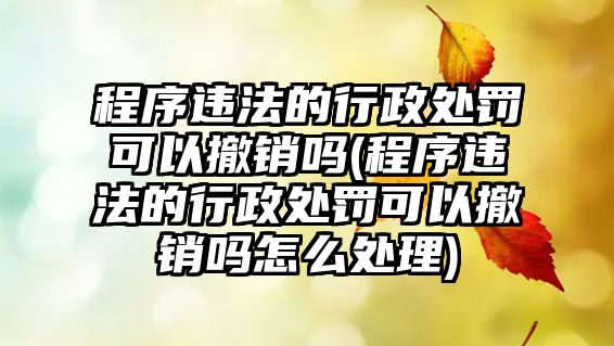 程序違法的行政處罰可以撤銷嗎(程序違法的行政處罰可以撤銷嗎怎么處理)