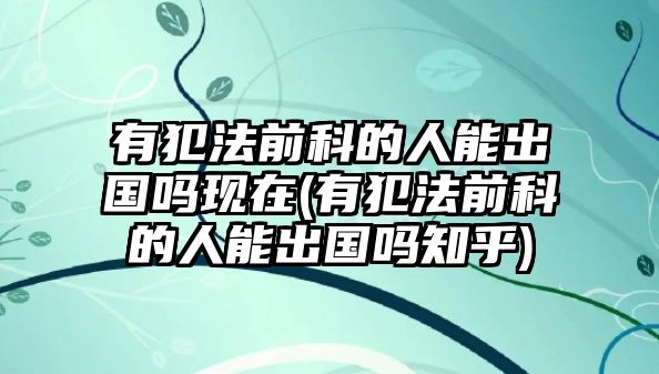 有犯法前科的人能出國嗎現(xiàn)在(有犯法前科的人能出國嗎知乎)