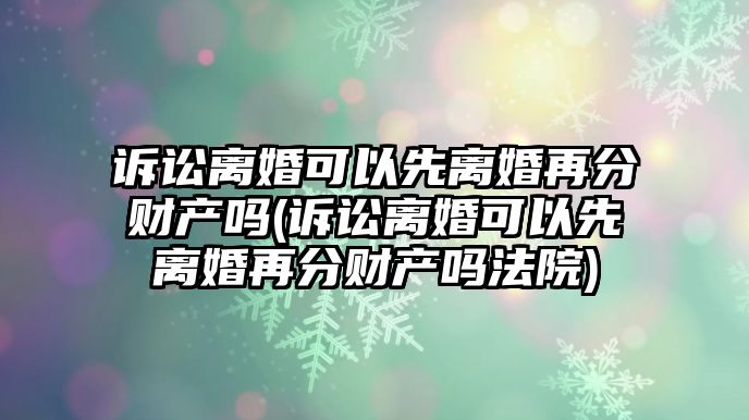 訴訟離婚可以先離婚再分財產嗎(訴訟離婚可以先離婚再分財產嗎法院)