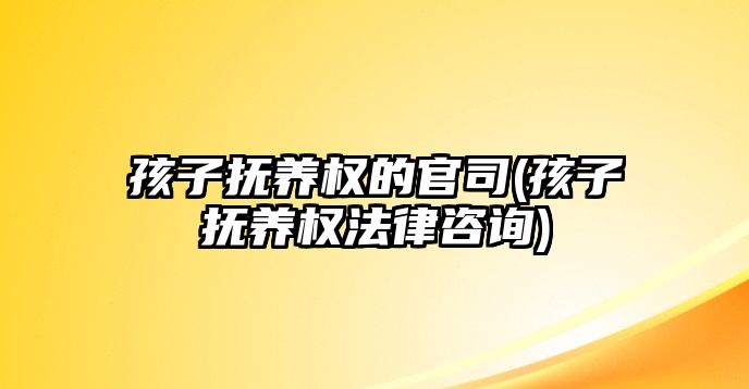 孩子撫養(yǎng)權的官司(孩子撫養(yǎng)權法律咨詢)