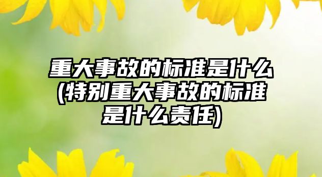 重大事故的標準是什么(特別重大事故的標準是什么責任)