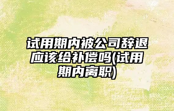 試用期內被公司辭退應該給補償嗎(試用期內離職)