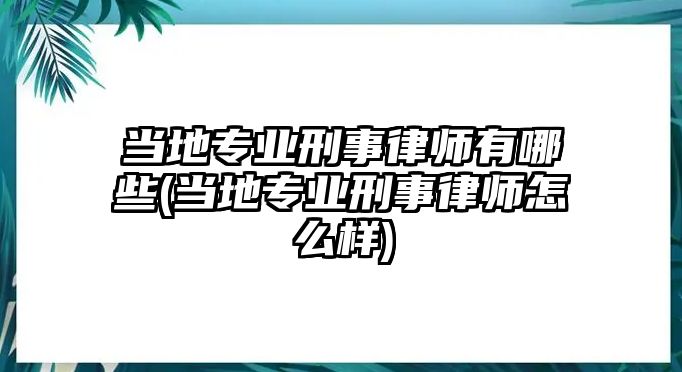 當地專業刑事律師有哪些(當地專業刑事律師怎么樣)