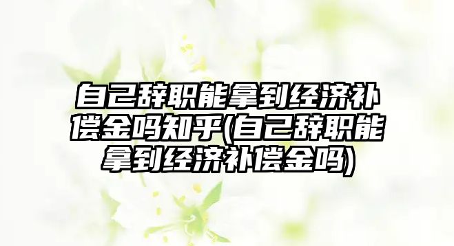 自己辭職能拿到經濟補償金嗎知乎(自己辭職能拿到經濟補償金嗎)