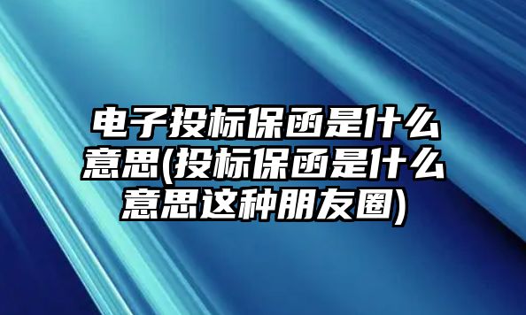 電子投標保函是什么意思(投標保函是什么意思這種朋友圈)