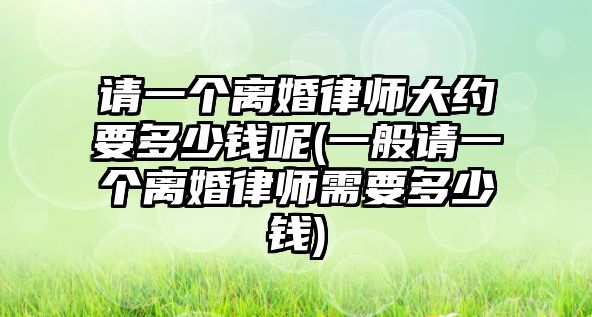 請一個離婚律師大約要多少錢呢(一般請一個離婚律師需要多少錢)