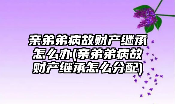 親弟弟病故財產繼承怎么辦(親弟弟病故財產繼承怎么分配)