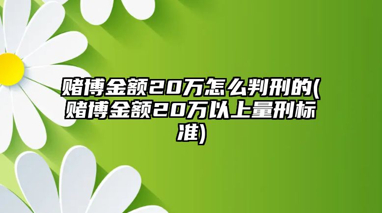 賭博金額20萬怎么判刑的(賭博金額20萬以上量刑標準)