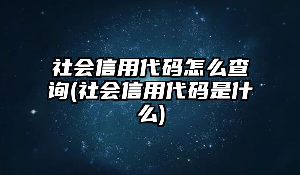 社會(huì)信用代碼怎么查詢(社會(huì)信用代碼是什么)