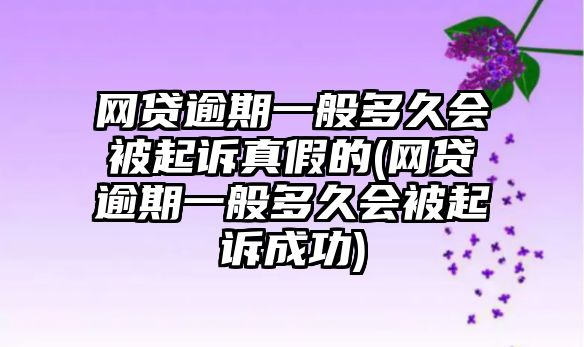 網貸逾期一般多久會被起訴真假的(網貸逾期一般多久會被起訴成功)