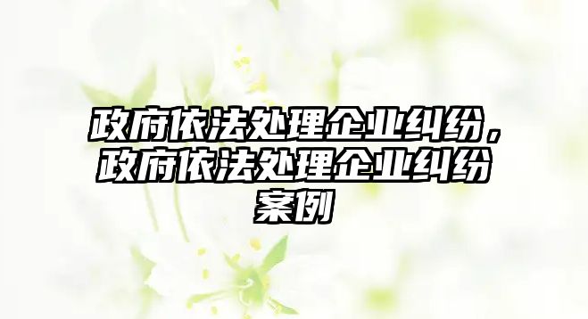 政府依法處理企業(yè)糾紛，政府依法處理企業(yè)糾紛案例