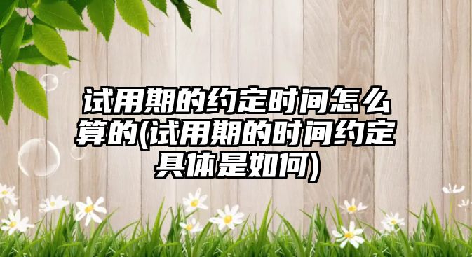 試用期的約定時間怎么算的(試用期的時間約定具體是如何)