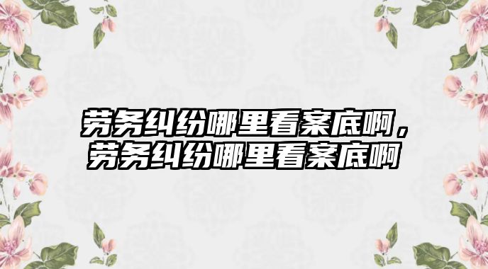 勞務糾紛哪里看案底啊，勞務糾紛哪里看案底啊