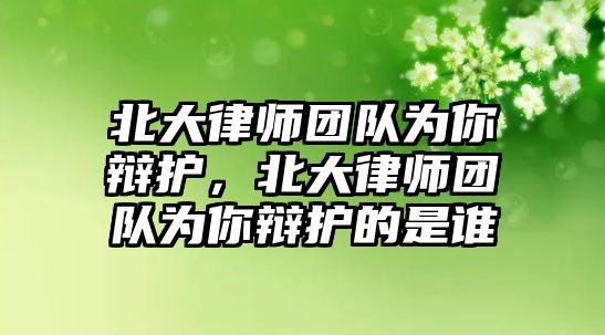 北大律師團隊為你辯護，北大律師團隊為你辯護的是誰