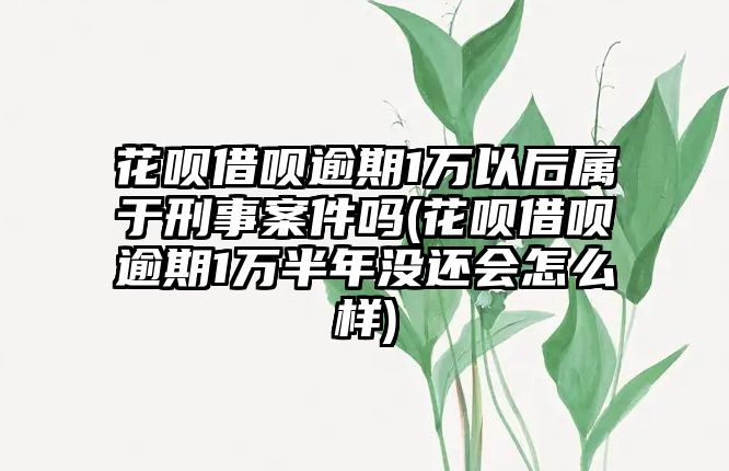 花唄借唄逾期1萬以后屬于刑事案件嗎(花唄借唄逾期1萬半年沒還會(huì)怎么樣)