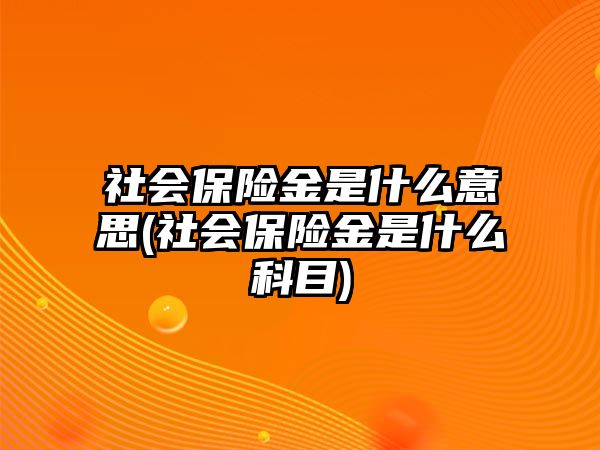 社會保險金是什么意思(社會保險金是什么科目)