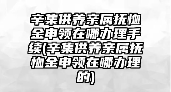 辛集供養(yǎng)親屬撫恤金申領(lǐng)在哪辦理手續(xù)(辛集供養(yǎng)親屬撫恤金申領(lǐng)在哪辦理的)