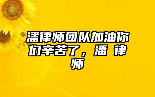 潘律師團隊加油你們辛苦了，潘劼律師