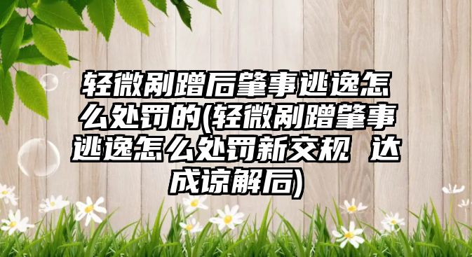 輕微剮蹭后肇事逃逸怎么處罰的(輕微剮蹭肇事逃逸怎么處罰新交規 達成諒解后)