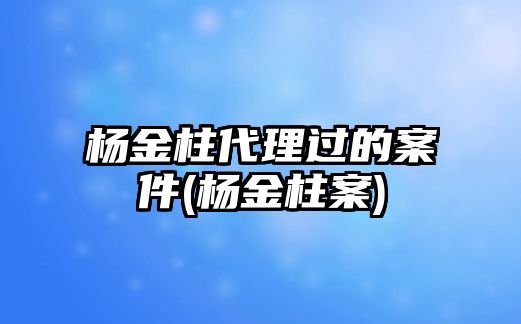 楊金柱代理過的案件(楊金柱案)