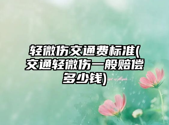 輕微傷交通費(fèi)標(biāo)準(zhǔn)(交通輕微傷一般賠償多少錢)