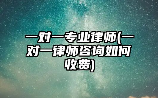 一對一專業(yè)律師(一對一律師咨詢?nèi)绾问召M)